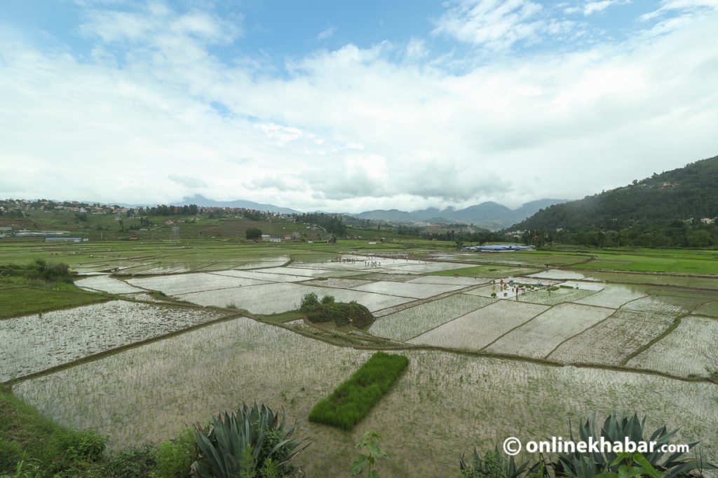 Condition of agricultural land in Nepal