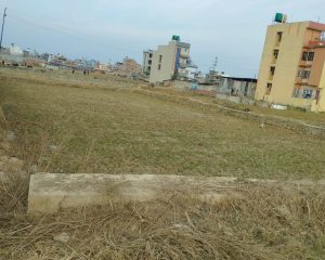 WhatsApp-Image-2023-12-06-at-4.19.26-PM